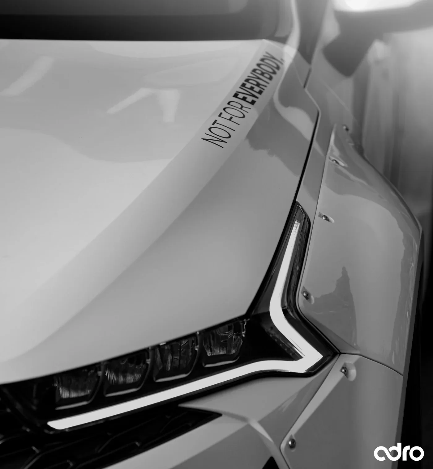 NOT FOR EVERYBODY DECAL - Image 2